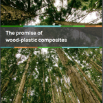 The Promise of Wood Plastic Composites